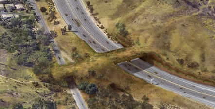 Aerial rendering of the Wallis Annenberg Wildlife Crossing over US-101 at Liberty Canyon